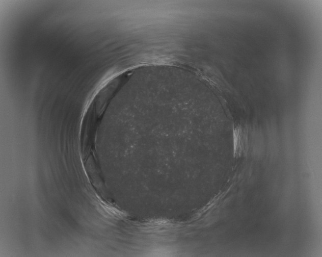 X0000062630195200601041040