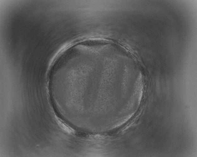 X0000062630197200601041040