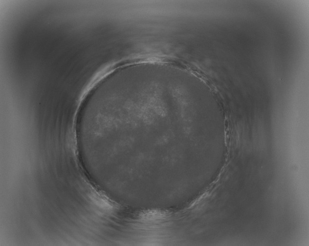 X0000062630198200601041040