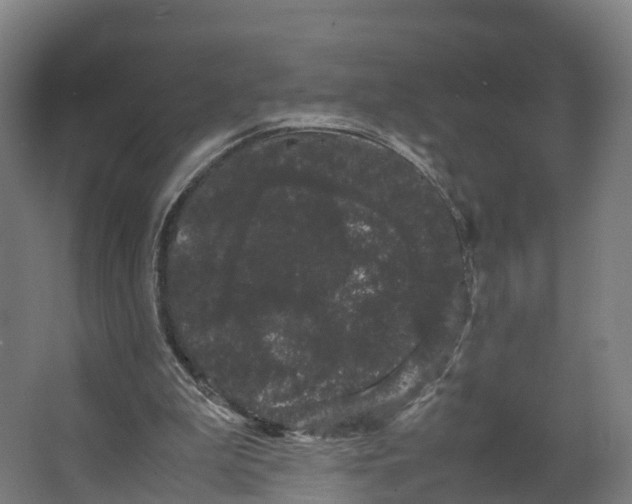 X0000062630199200601041040