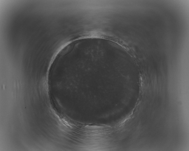 X0000062630200200601041040