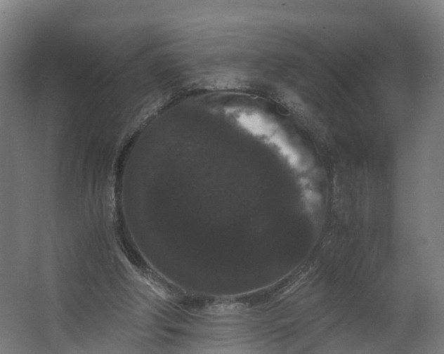 X0000062630202200601041040