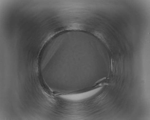 X0000062630204200601041040