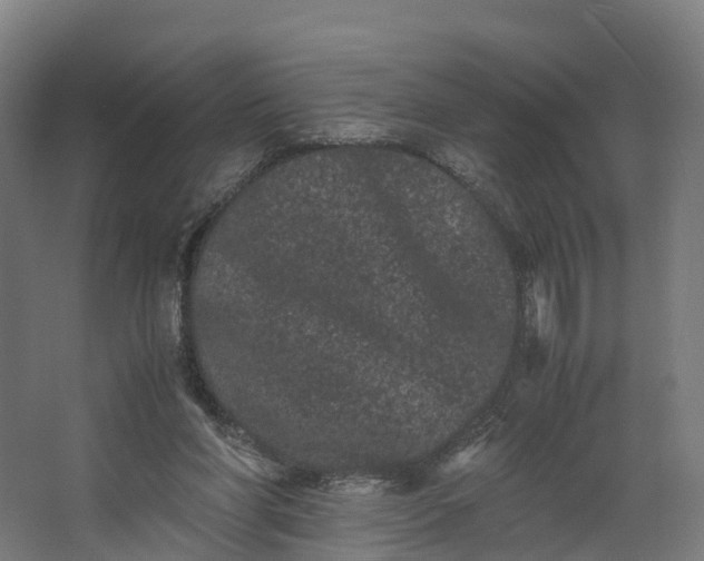 X0000062630206200601041040