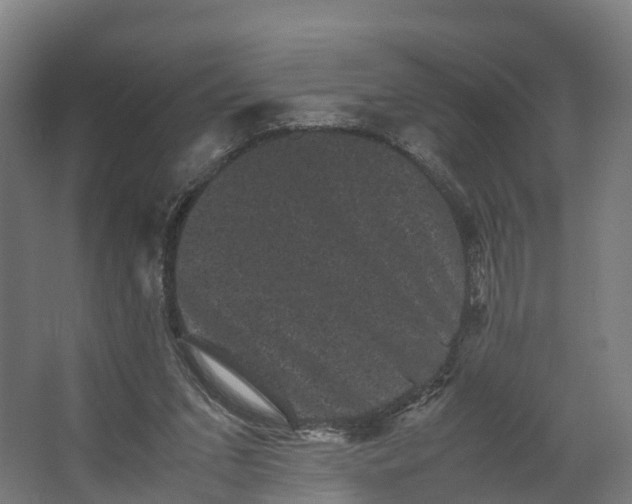 X0000062630207200601041040