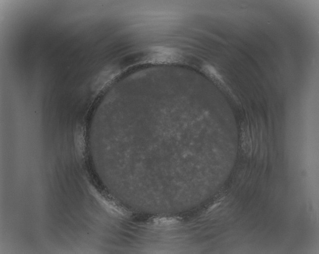 X0000062630208200601041040