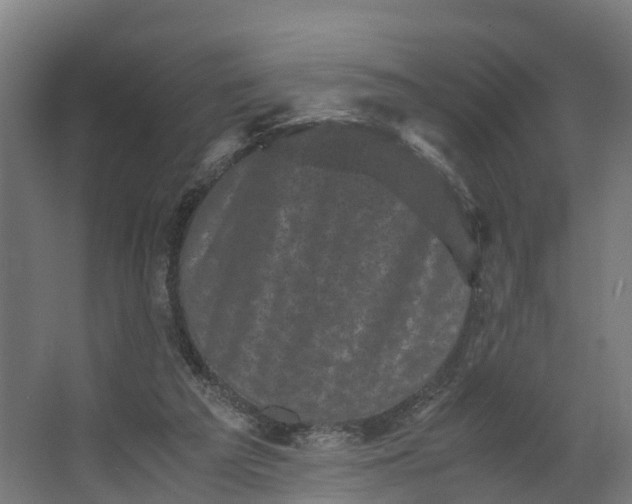 X0000062630209200601041040