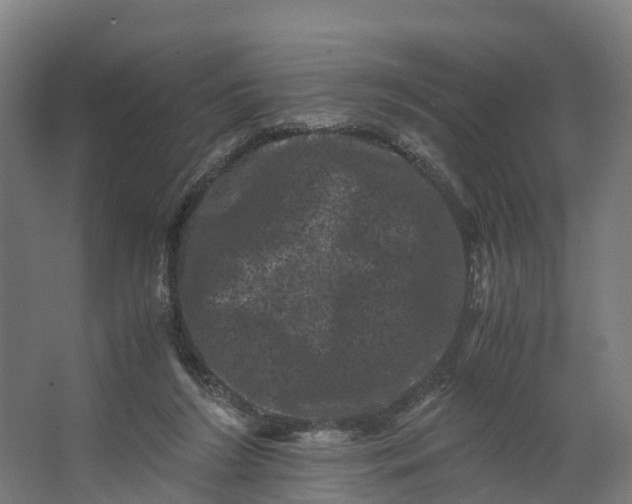 X0000062630212200601041040