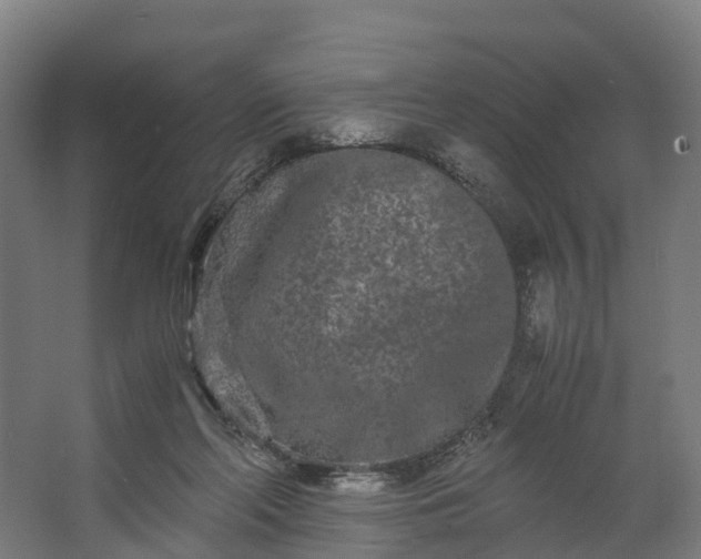 X0000062630214200601041040