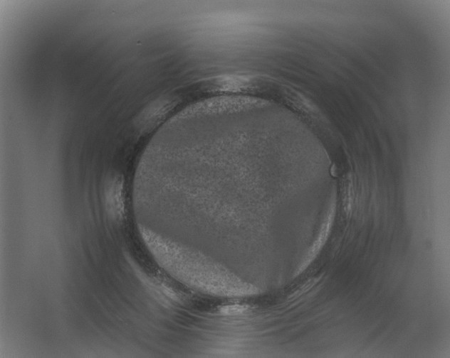 X0000062630216200601041039