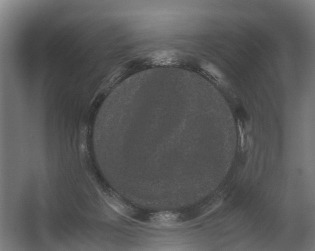 X0000062630217200601041039