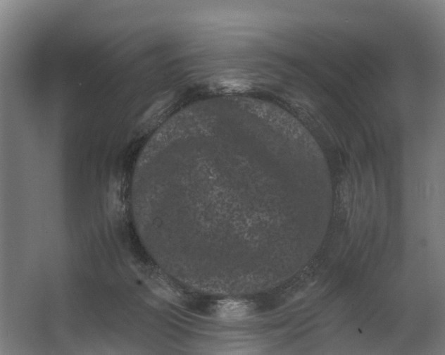 X0000062630218200601041039