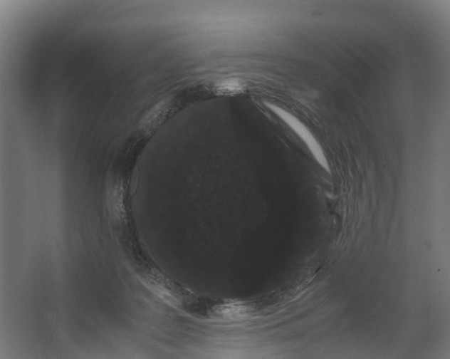 X0000062630219200601041039