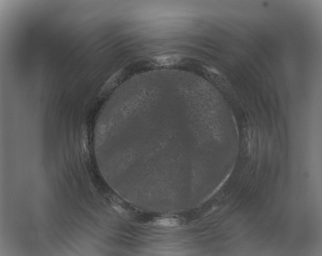 X0000062630220200601041039