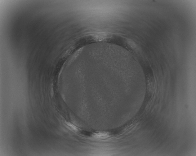 X0000062630221200601041039