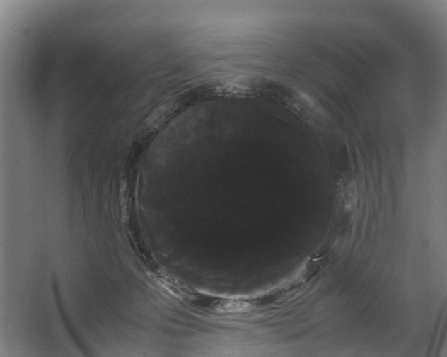 X0000062630223200601041039