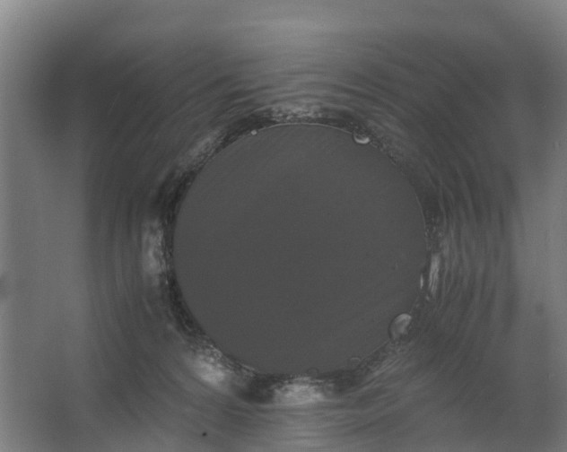 X0000062630224200601041039