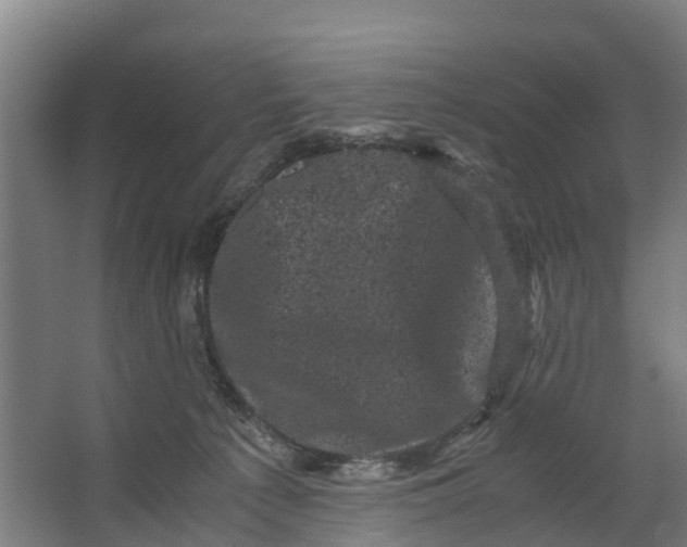 X0000062630225200601041039