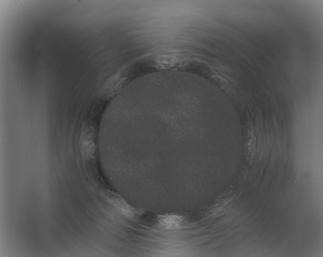 X0000062630226200601041039