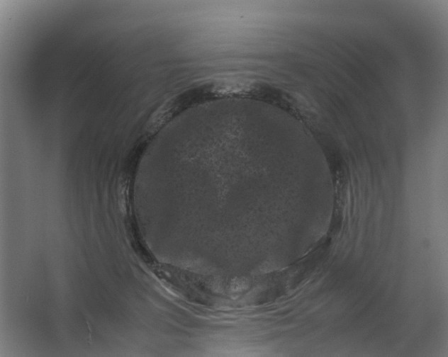 X0000062630227200601041039