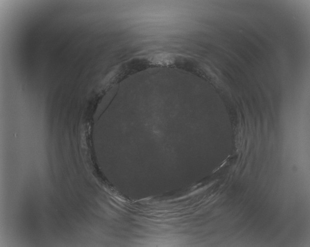 X0000062630229200601041039