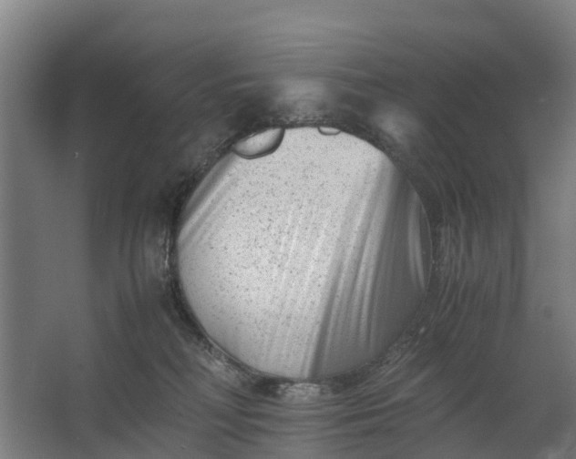 X0000062630230200601041039