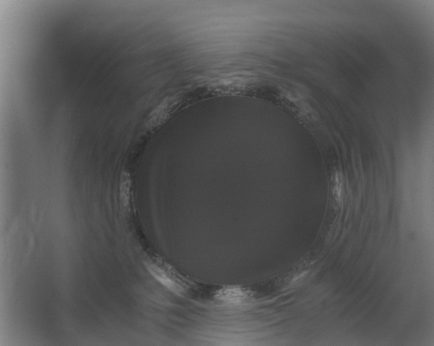 X0000062630231200601041039