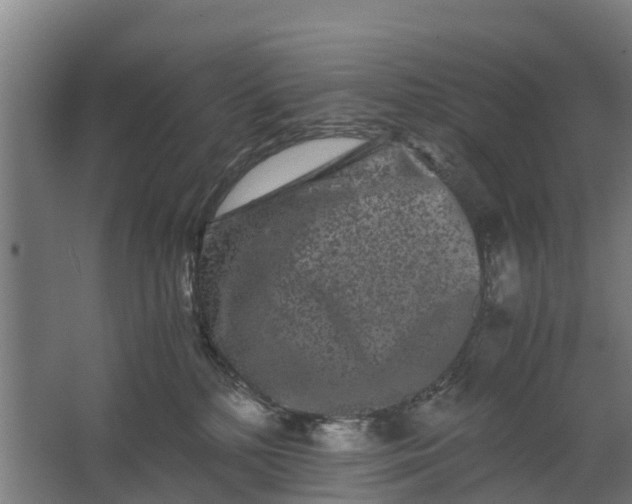 X0000062630232200601041039