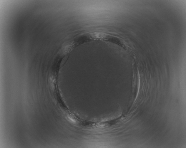 X0000062630235200601041039