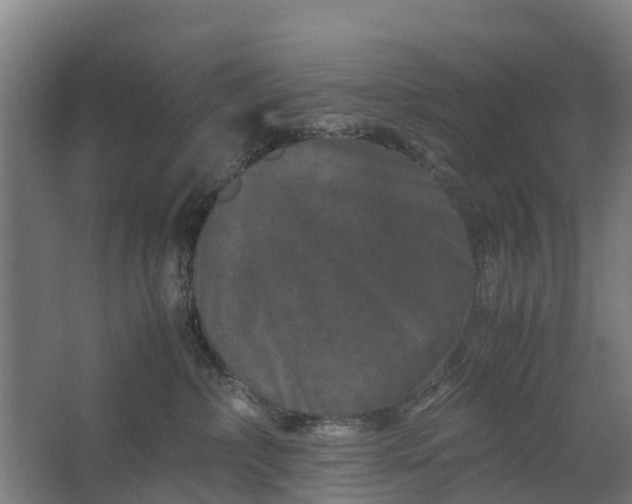 X0000062630236200601041039