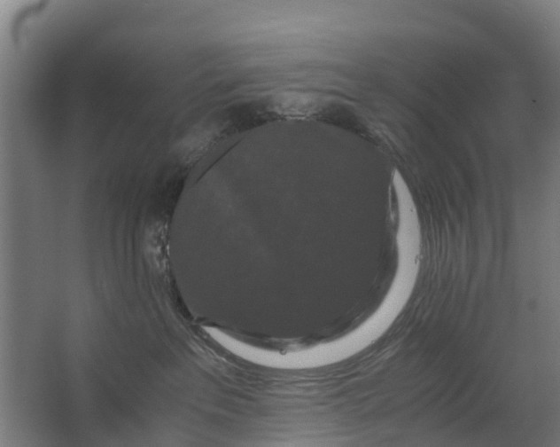 X0000062630237200601041039