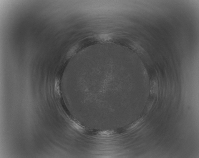 X0000062630238200601041039