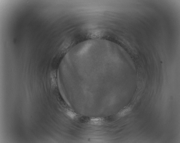 X0000062630240200601041039