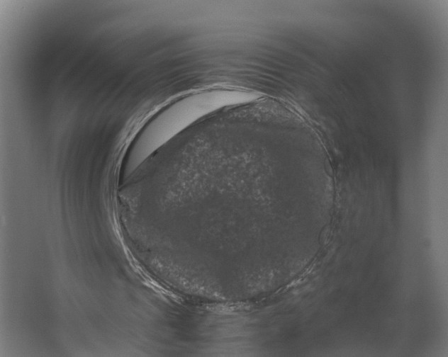 X0000062630241200601041038