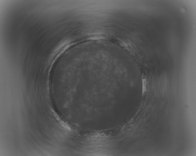 X0000062630243200601041038