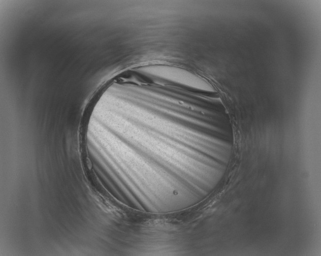 X0000062630244200601041038