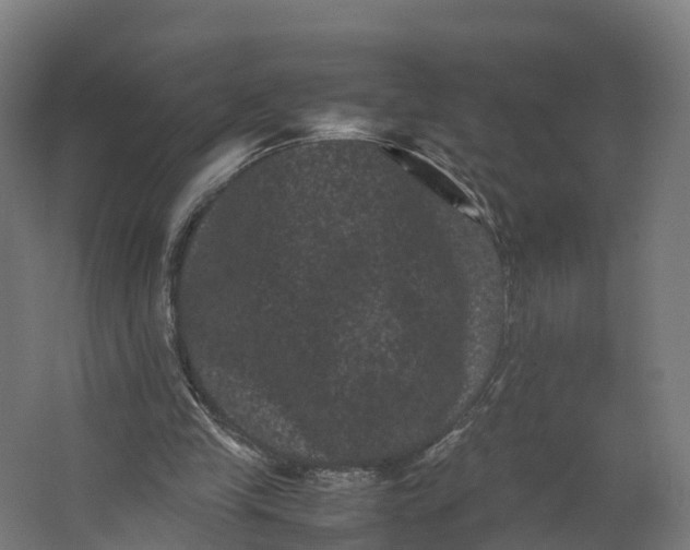 X0000062630245200601041038