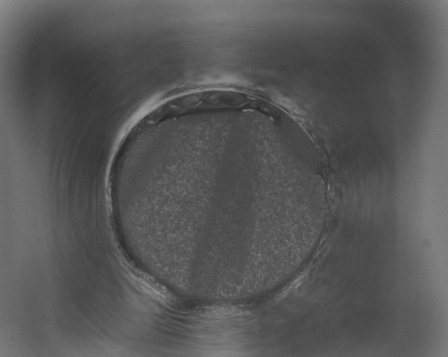 X0000062630246200601041038