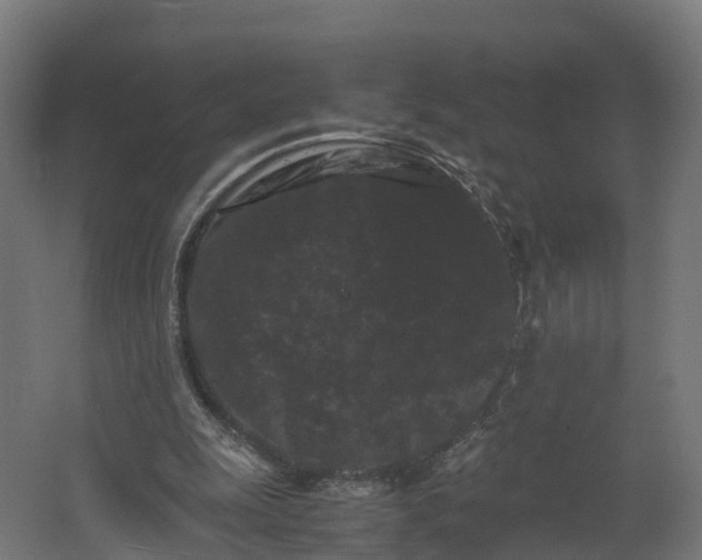 X0000062630247200601041038