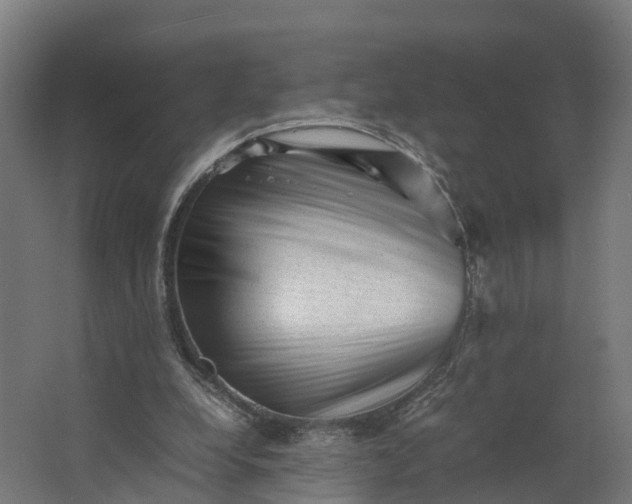 X0000062630248200601041038