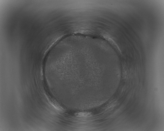 X0000062630251200601041038