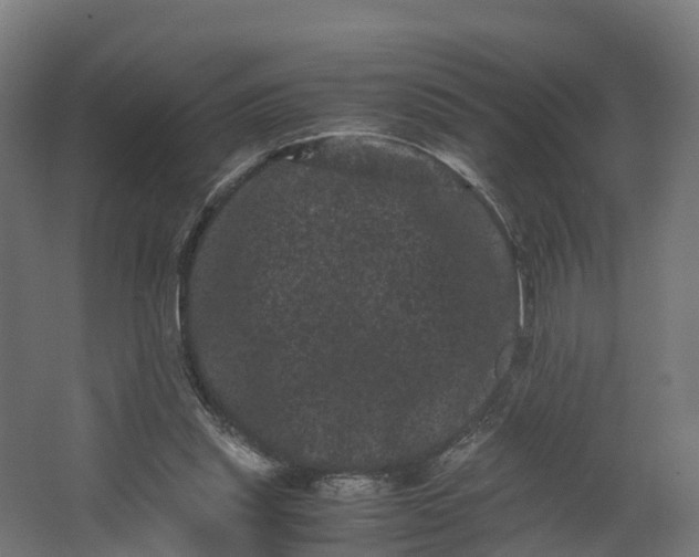 X0000062630253200601041038