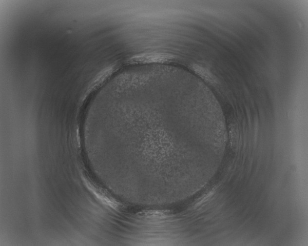 X0000062630254200601041038