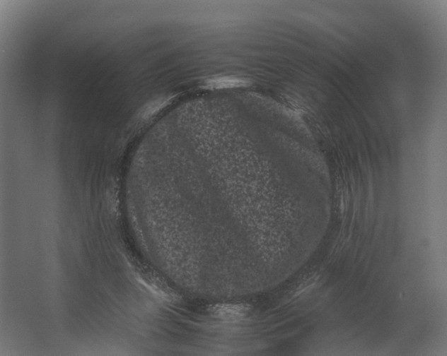 X0000062630255200601041039