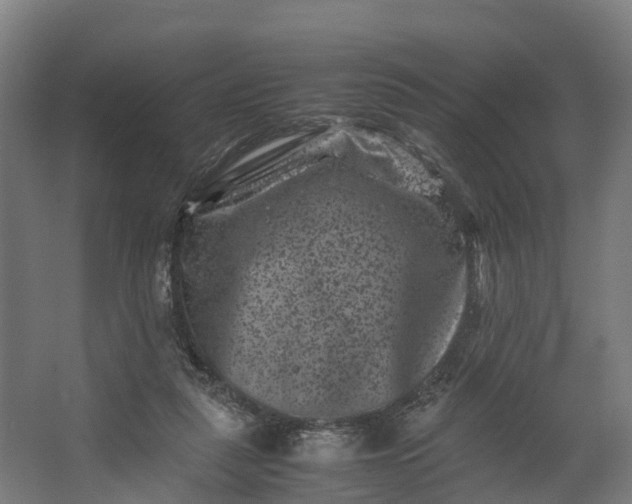 X0000062630259200601041039