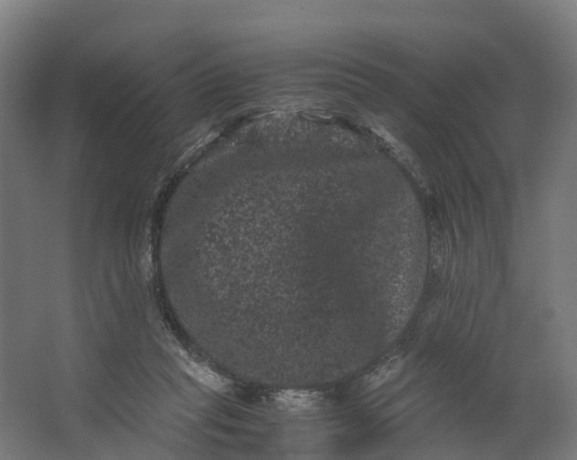 X0000062630261200601041039