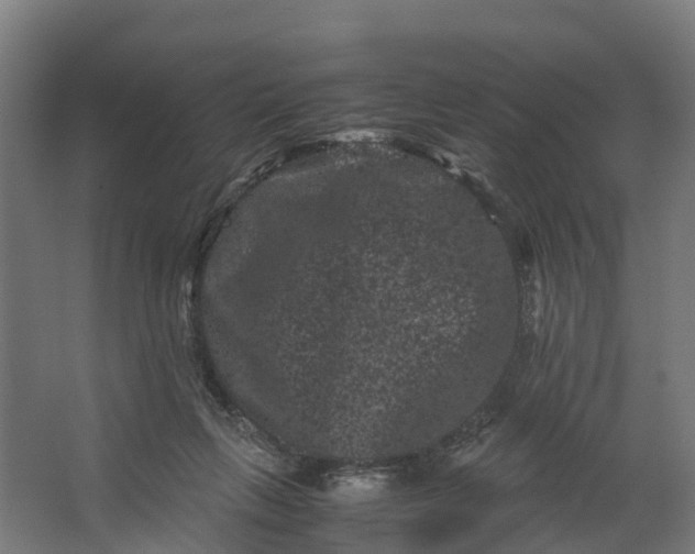 X0000062630263200601041039