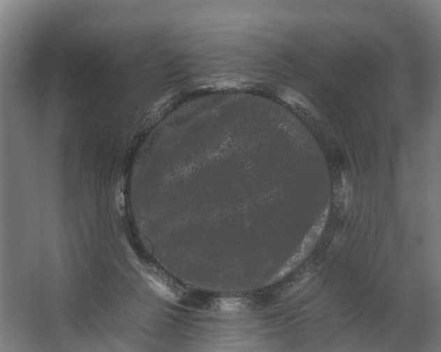 X0000062630264200601041039