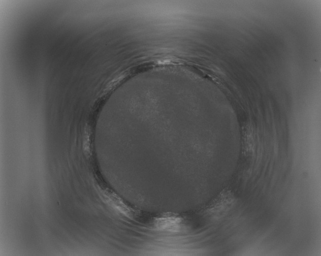 X0000062630266200601041039