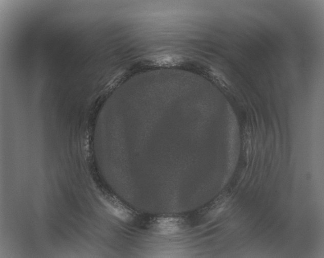 X0000062630268200601041039